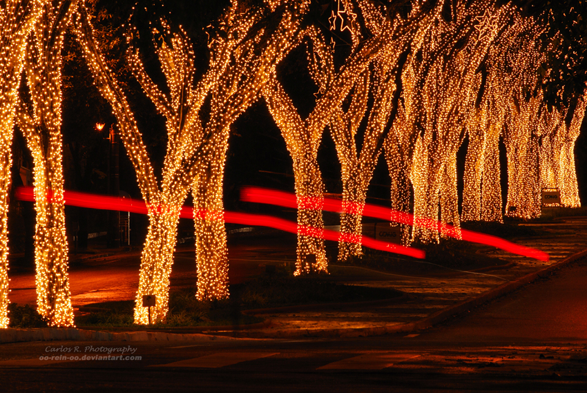 Christmas Spirit