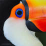 Toucan