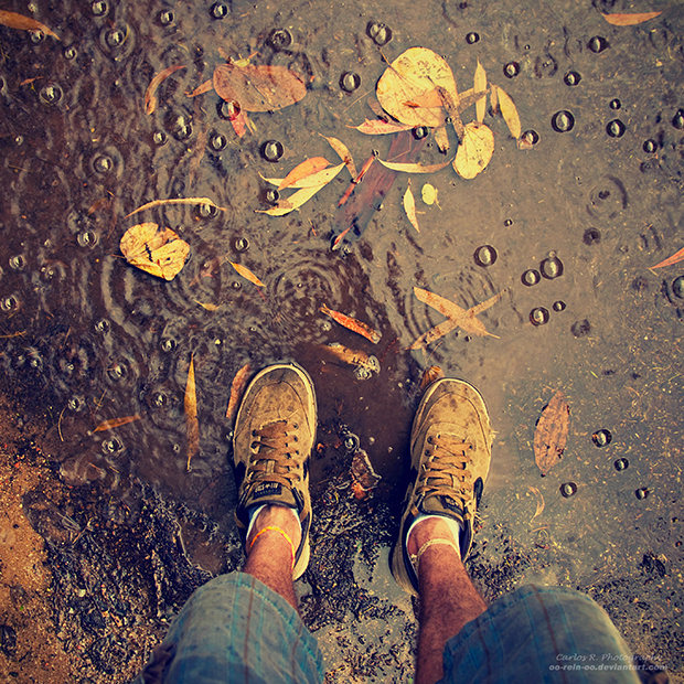 Rainy Autumn