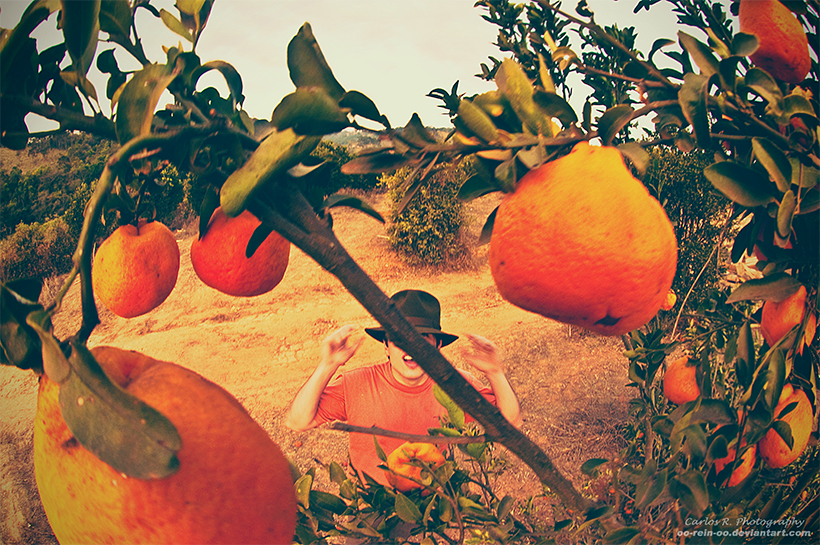 Mr. Orange