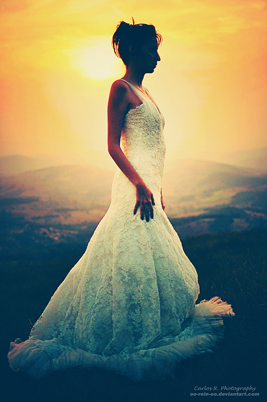 Dressed To Shine