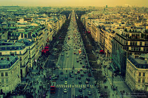 L'Avenue Des Champs Elysees