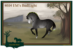 4614 EM's BudLight SOLD