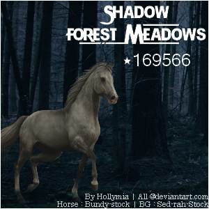 Avatar Shadow Forest Meadows