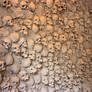 bones - 004 skull wall