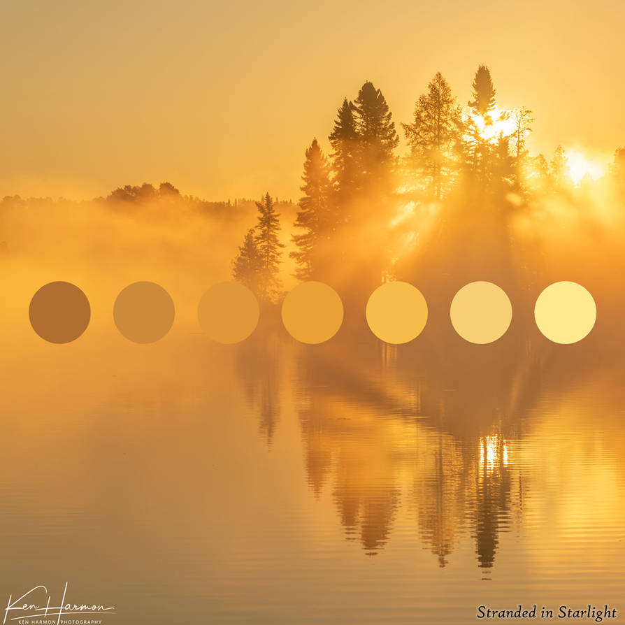 Golden Rays Gold Color Palette by StrandedInStarlight on DeviantArt