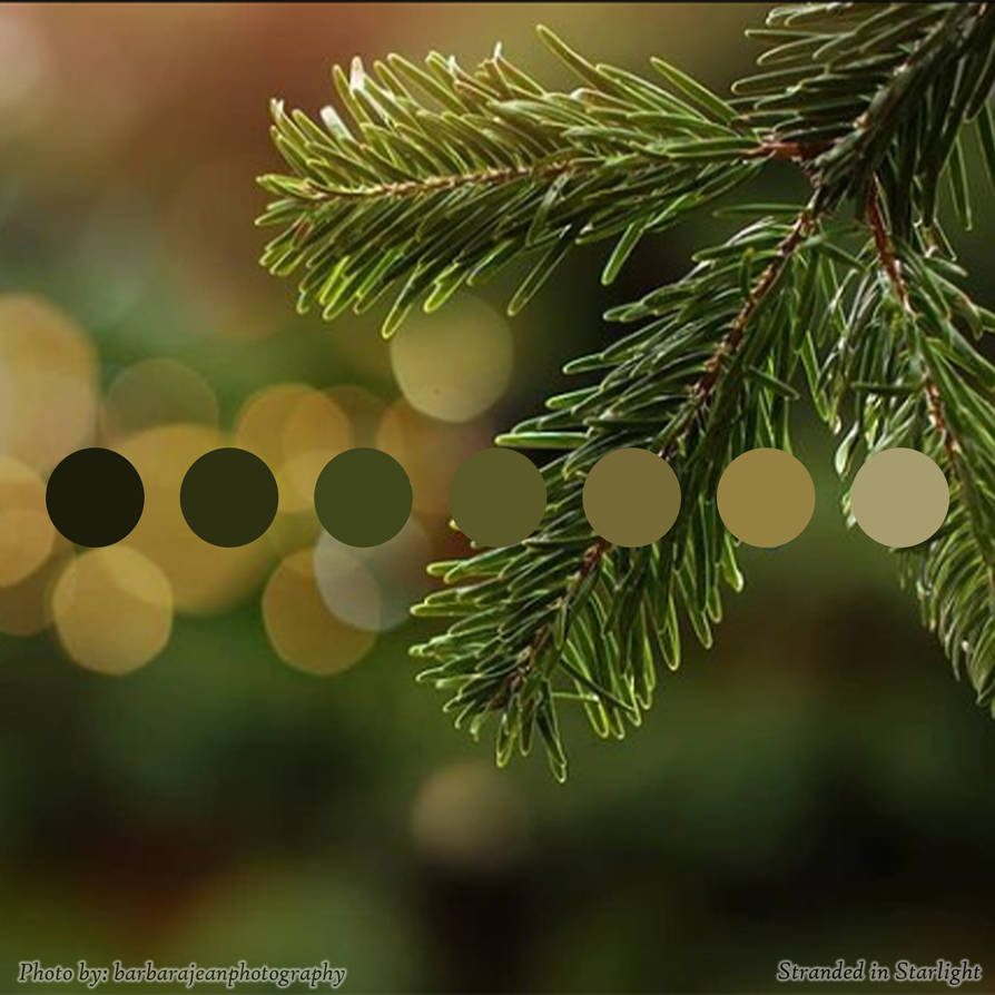 Pine Green Color Palette by StrandedInStarlight on DeviantArt