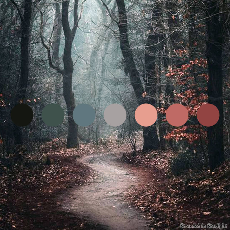 Color Forrest Path Shrouded Path Forest Color Palette by StrandedInStarlight on DeviantArt