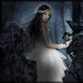 In the Dead of Night