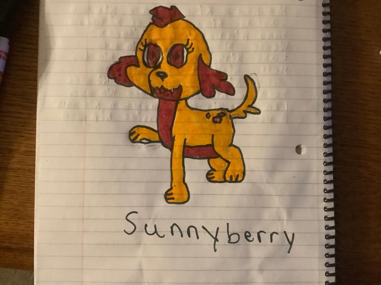 SunnyBerry (My Dog OC)