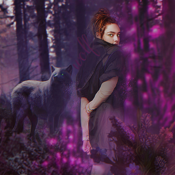 hope mikaelson wolf by LostGirl0 on DeviantArt