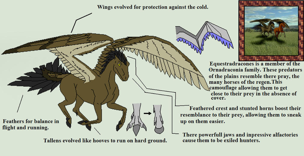 Biology of Mythology Equestradraconia (Pegasus)