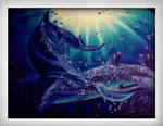 Dolphins-Family-Love by HeidiLRxx