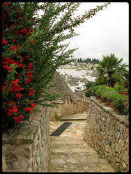 Alberobello -v-