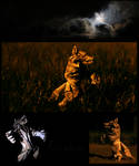 Werewolf by FoldedWilderness