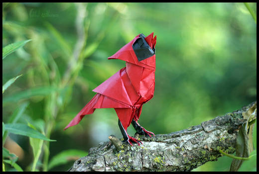 Origami Singing Cardinal