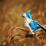 Autumn Blue Jay (Origami)