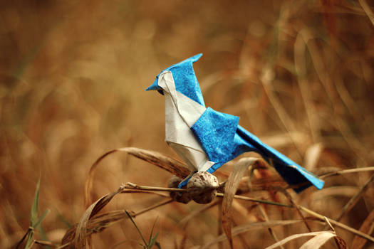 Autumn Blue Jay (Origami)