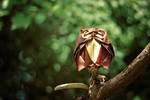 The Old wise Owl by FoldedWilderness