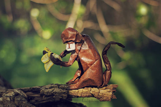 Monkey Business (origami)