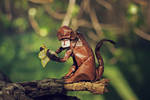 Monkey Business (origami) by FoldedWilderness Monkey Business (origami) by FoldedWilderness