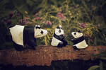 Origami Panda Family by FoldedWilderness