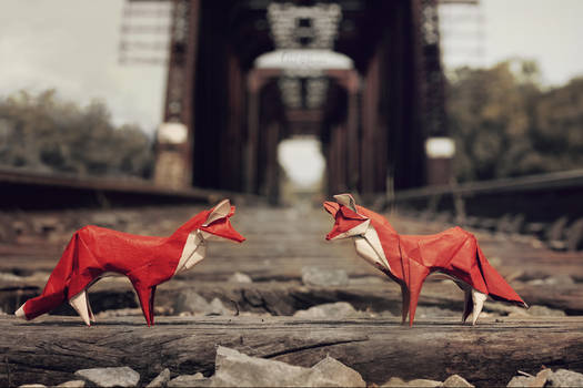 Fox Brothers at the Bridge