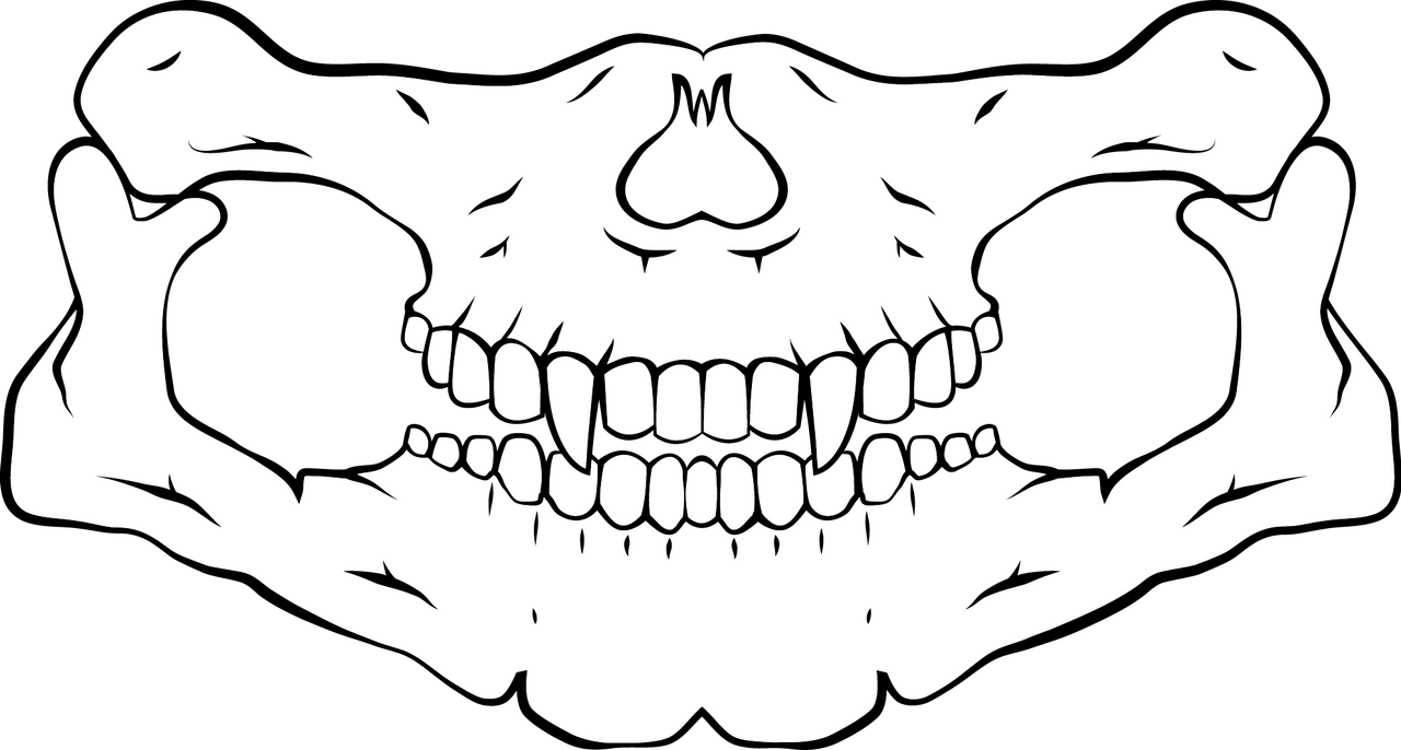 Skull Bandana Source