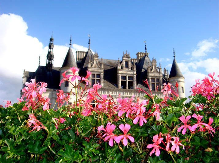 Chenonceau Flowers