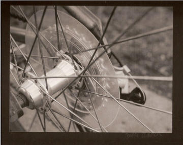 Bike Spokes