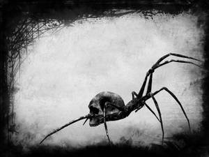 Spiderv2 by UmbraSeraph Spiderv2 by UmbraSeraph
