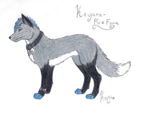 Kayara Fox Form Ref