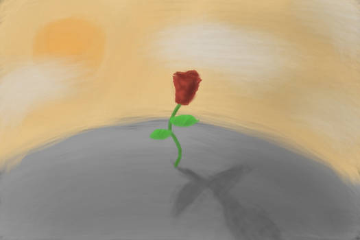 The Solitary Rose