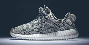 Adidas-yeezy-boost-350-turtle-dove-replica