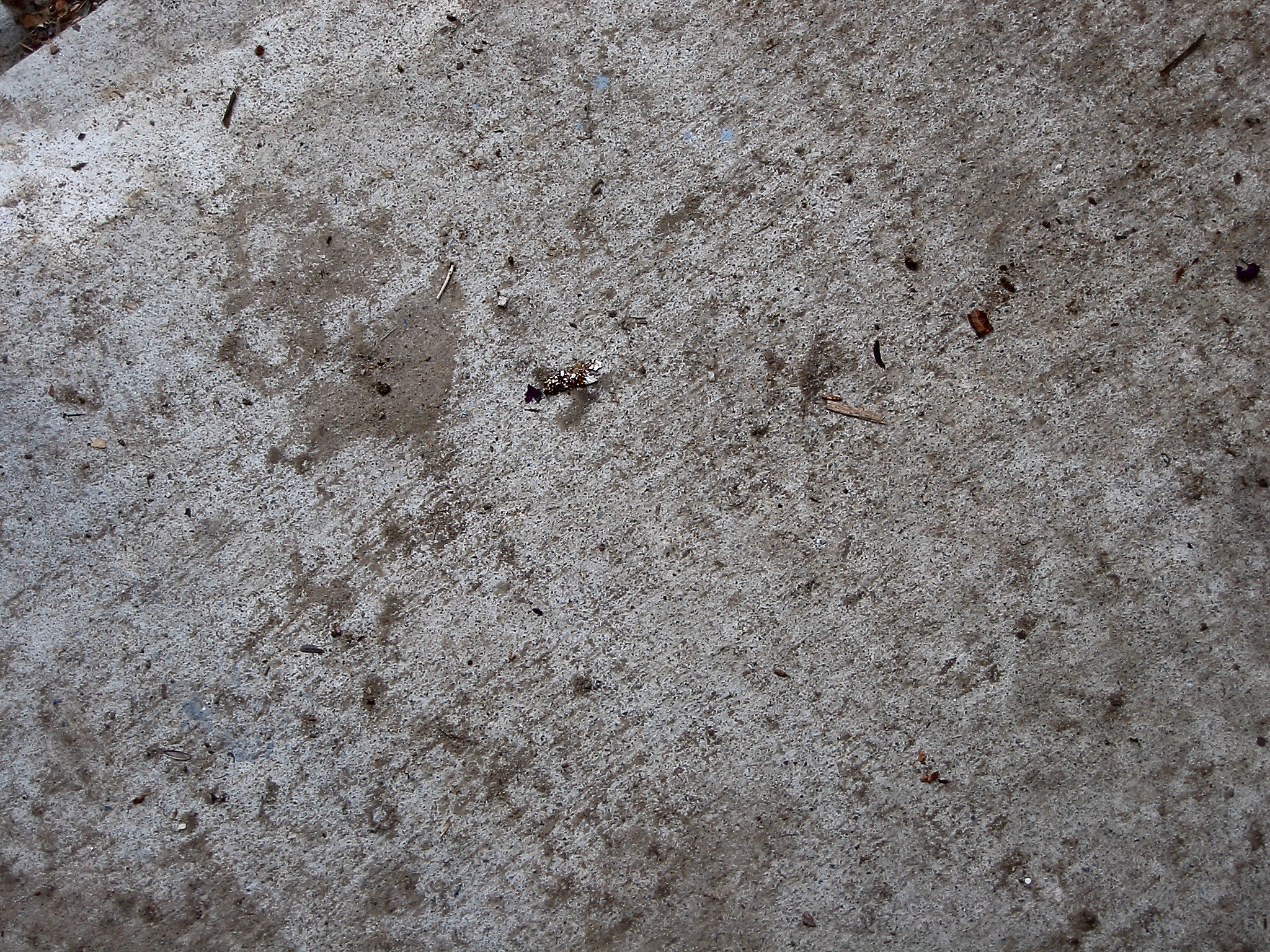 concrete texture464576