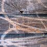 wood texture stock 23942