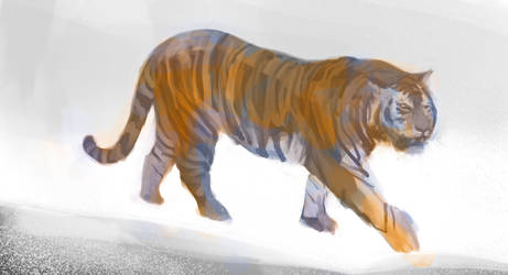 Roaming Tiger Sketch