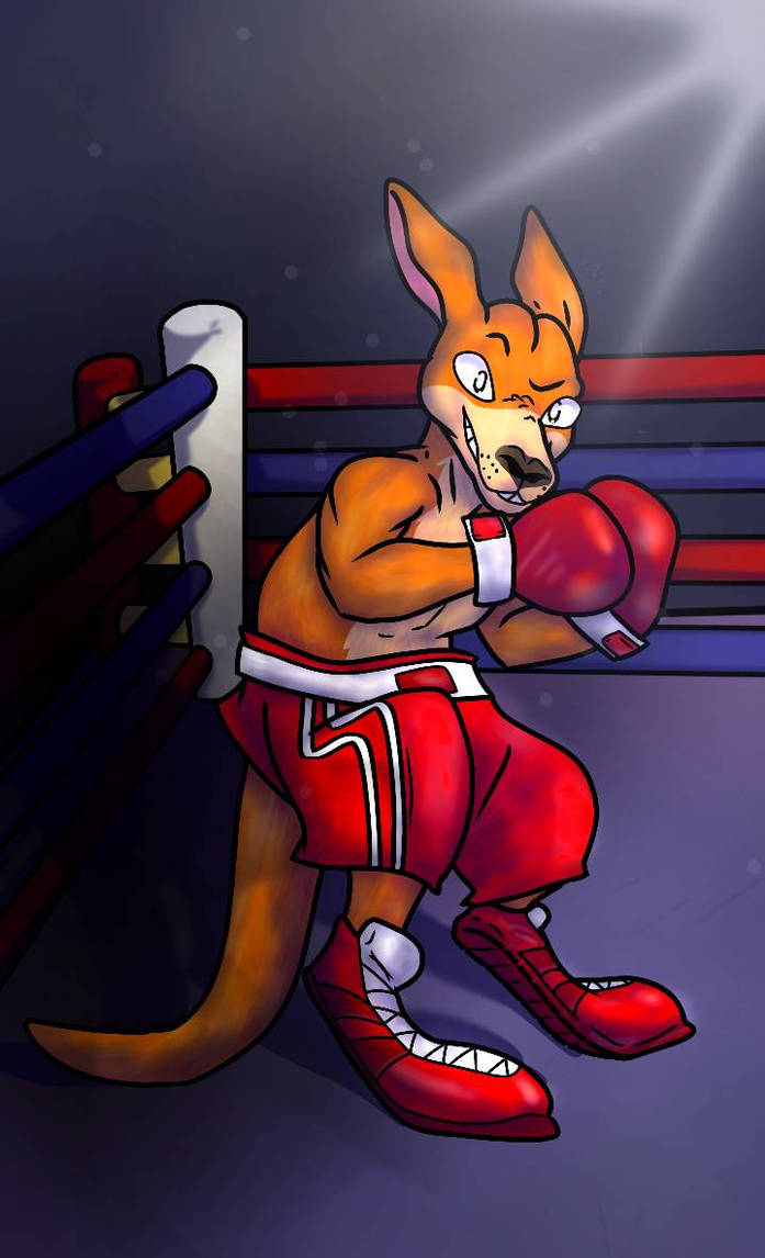 Boxing Kangaroo - Commission for ToonMaster2001 by Glimblombo on DeviantArt