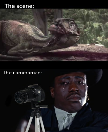 The cameraman : r/memes