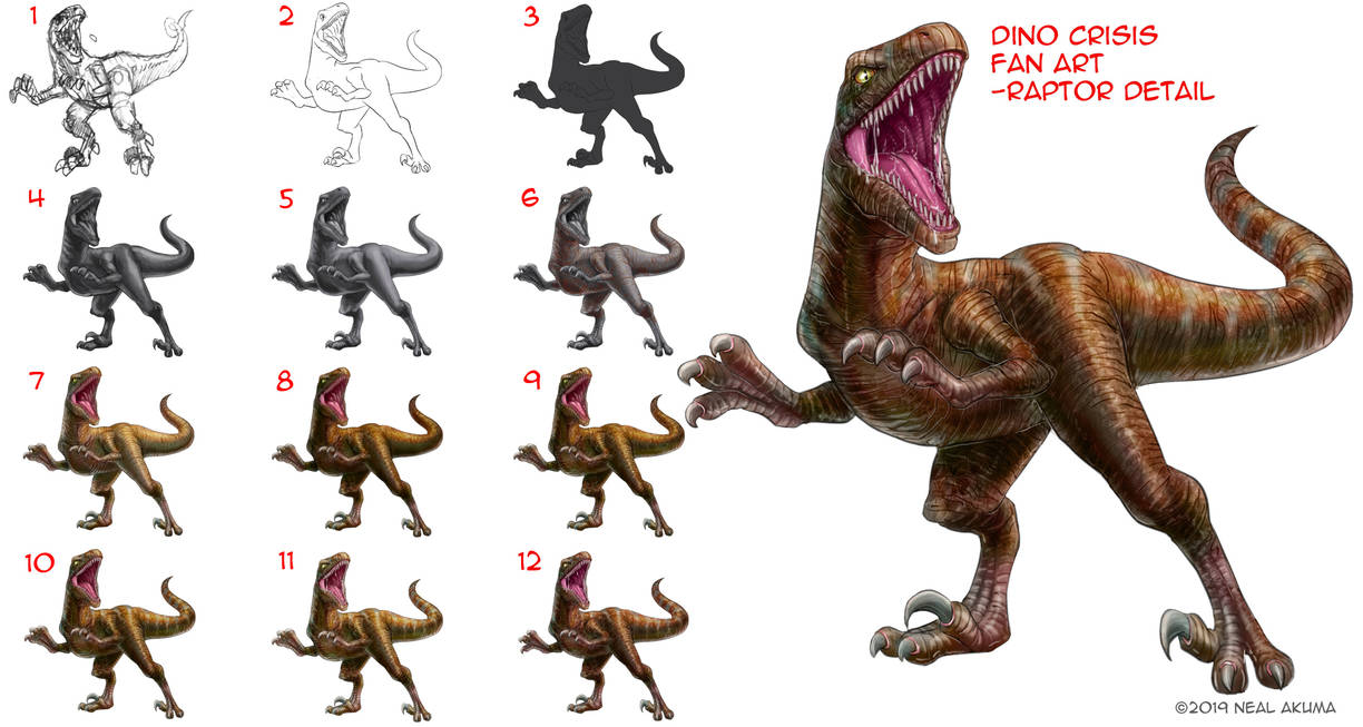 Raptor Step By Step Final by Neal-Akuma on DeviantArt