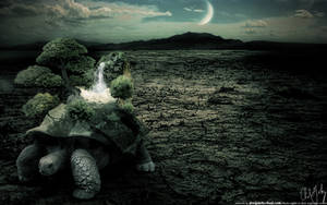 Photo Manipulation Turtle