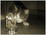 Happy birthday to... by Lucathegreat