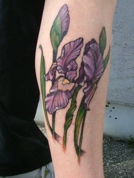Colleen's Irises