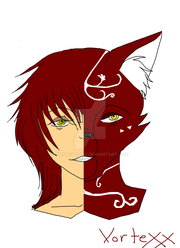 Vortexx (book cover) by TMNTShoujo on DeviantArt