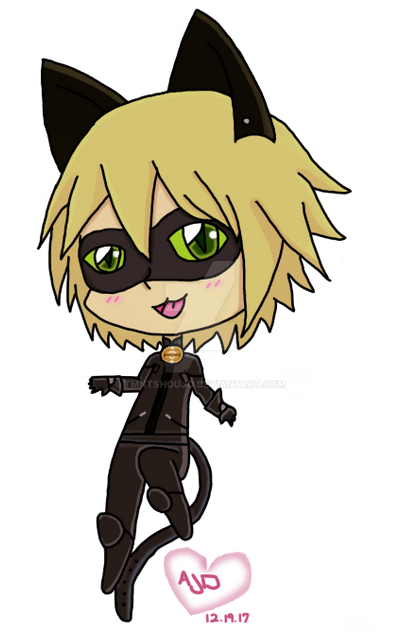 Cat Noir