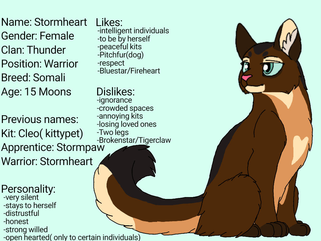 Stormheart(Warrior cats oc) by Eevee267 on DeviantArt