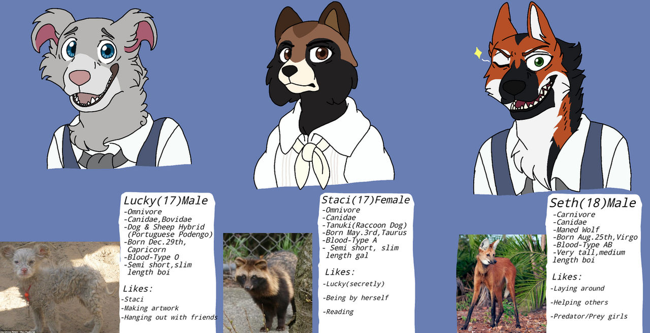 Beastars Ocs Threads Beastars ocs (part 1) by Eevee267 on DeviantArt
