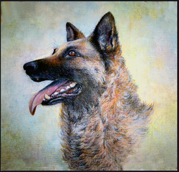 German Shepherd Oil Painting