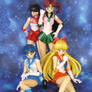 Sailor Moon S.H. Figuarts inners