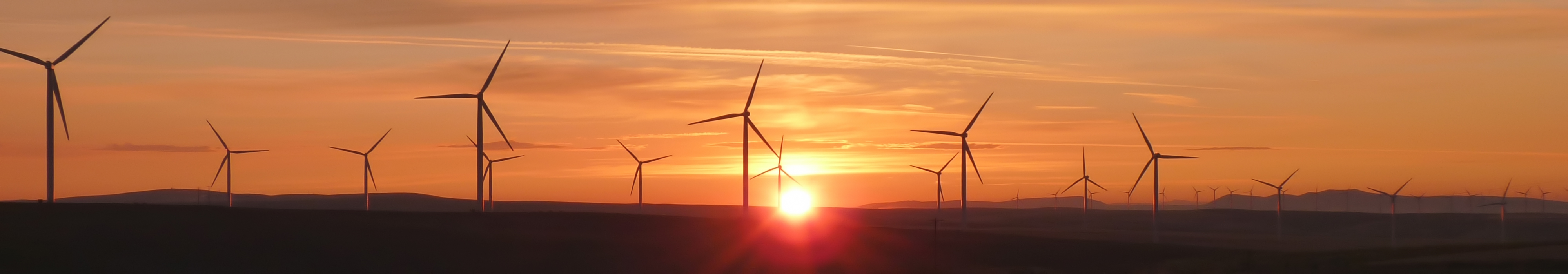 Wind Farm at Dusk